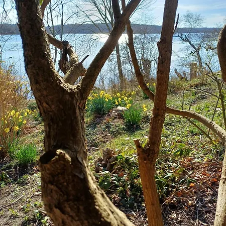 Jesters Island Gasthof *