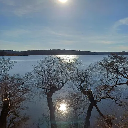 Jesters Island *